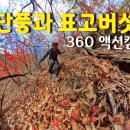 202410 고산 가을 단풍과 야생 표고버섯 / 360도 액션캠 / 인스타360 x4 이미지