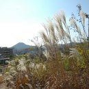 진덕사입구 이미지