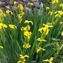 만행산상신마을 이미지