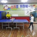 김종도 탁구교실 이미지