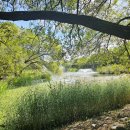 그레이컴퍼니 이미지