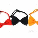 애견매니저 이미지