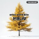 나무미술교습소 - 강남구 개포로22길 100 | 나무미술교습소