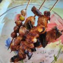 제이몽애견펜션 이미지