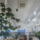 케냐에스프레소 - 무안군 면성1길 111 | 춘하 에스프레소 오늘 방문 후기입니다(대전 유성수통골에 있어요)