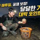 초봄 바다의 선물, 가리비 해루질 포인트 10곳 추천 및 완벽 가이드 이미지