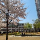 수창공원 앞 이미지