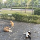 진현푸드