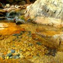 백양산 등산로 이미지