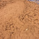 당곡 운동장 이미지