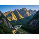 피어나는 생명 이미지