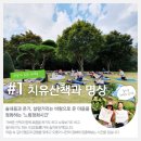 [진안힐링여행] 고요한 &#39;진안&#39; 숲 속 숨겨진 보석을 만나는 &lt;힐링여행&gt;