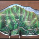 안성약품(주) 이미지