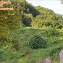 구산면570 이미지