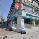 신정애견미용 이미지