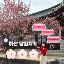 현충사에너지 | 아산 당일치기 코스 추천｜온양온천역 맛집부터 현충사, 은행나무길 카페까지