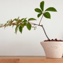 상복농장 이미지