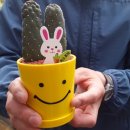 운암지 앞 이미지