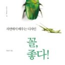 본보이디자인 - 성남시 수정구 위례광장로 21-8 | 본보이디자인