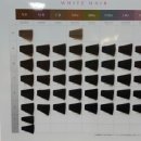 미미살롱 5.5 이미지