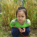 만석농장 이미지