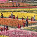 방방곳곳