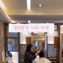 도영헤어살롱