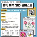 코스모스길 이미지