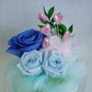 오월의여왕 이미지