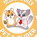 펫엔글라이더 이미지