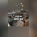 와일드출장세차 - 천안시 서북구 월봉로 126 | 와일드출장세차