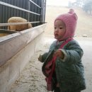 맘마목장 이미지