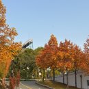 정남도서관 주차장 공중화장실 | [내돈내산] 인천 중구 월미도 여행 가볼 만한 곳 추천 - 월미 공원 솔직 후기