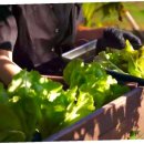 장작떼기 이미지