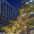 교촌치킨(동산점) | 호두까기 인형- 국립발레단vs유니버설발레단 후기!