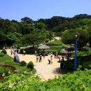 안면도자연휴양림 이미지