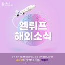 엘웨이메이커