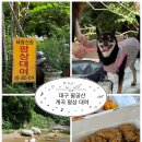 태령 | 대구 계곡 평상 대여 / 대구 팔공산 계곡 애견동반 가능한 태령산장 후기