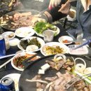도래 | 신상 글램핑장 밀양 캠핑도래 후기 (∗´ര ᎑ ര`∗)