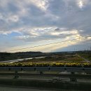 복하천 1 이미지