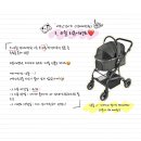 장미미장원 이미지