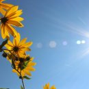 하늘병원 이미지