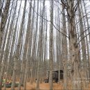 소래목장 이미지