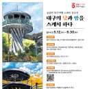 삼삼자원