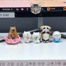 진도세탁소 | 11월 초 일상 Log : 난 삐그덕 (+ 大・中・小 모임)