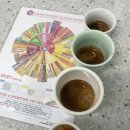 [이즈빈] 커피 기초지식과 바리스타 자격증 취득 과정 | 종로커피학원 빠르고 쉽게 자격증 취득 합격보장 받기