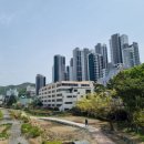 화명금화 이미지