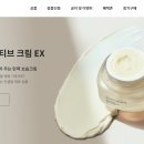 인셀덤 스타점 - 계룡시 | 인셀덤 브랜드 소개 및 제품 추천과 마케팅 전략