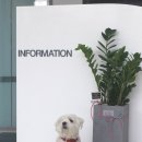 닥터k동물병원 이미지