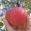 에덴농장 이미지